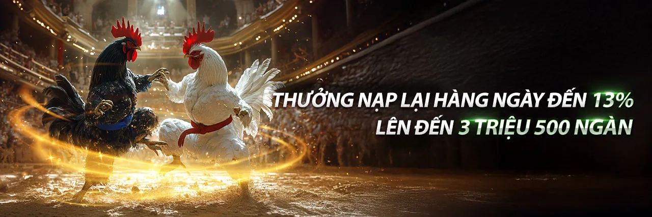 Các loại kèo đá gà phổ biến tại Winmax Bet
