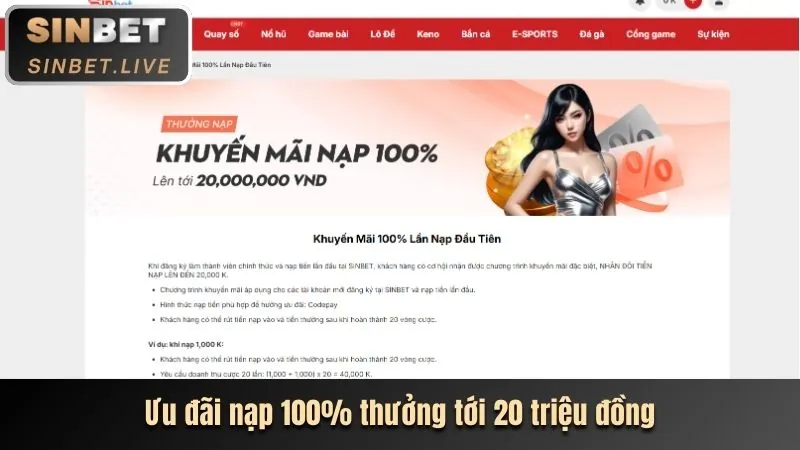 Yêu cầu vòng cược Winmax Bet